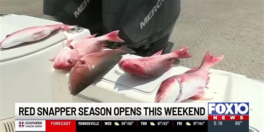 Red snapper season starts Friday