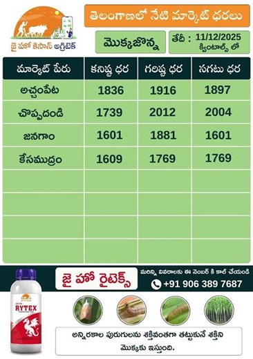 jhk market rate updates | Today Market Prices of Maize in Telangana | ‪@jaihokisan‬