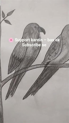 Beautiful Parrot Pencil Drawing ✏️ | Easy Bird Sketch Art |