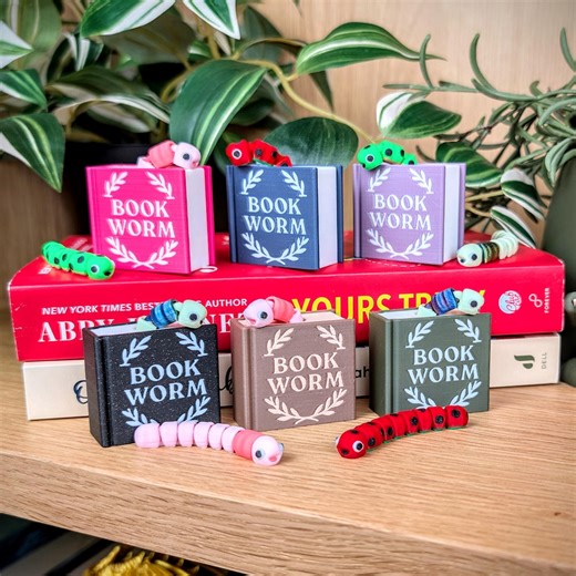 Bookworm Fidget, Book Lover Gift, Gifts for Her, Booktok, Bookish Decor, Stocking Stuffer, Teacher Gifts, Library Gift, Bookshelf, Cute Worm - Etsy UK