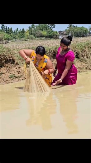 Amazing Village Women Fishing #reels #Fishing #video #fishing #fhiscurry #fishingequipment