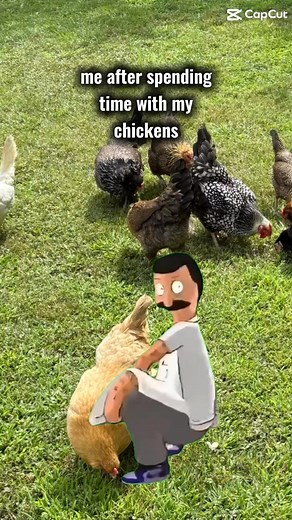 🫣🐓💕 #chickenlover | Cheerful Chickens