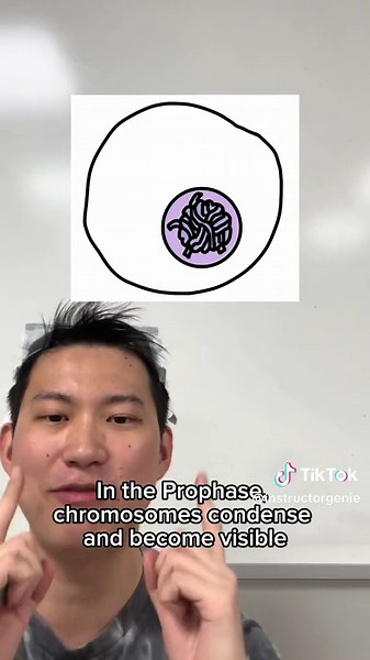 #fyp #viral #song #tiktokteacher #biology #stem #sciencetok #ap #rap #raptok #apreview #hiphop #learnontiktok #edutok #premed