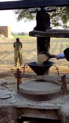 19K views · 232 reactions | Old Technology For Wheat Flouring | Share Talents | Facebook