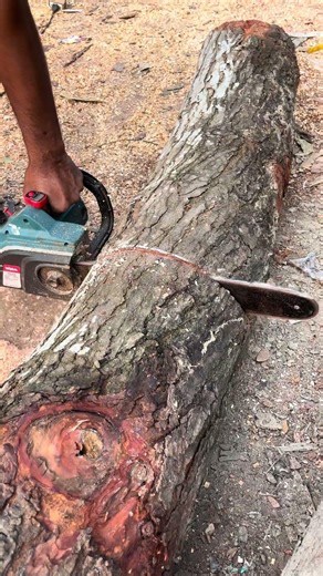 Tree Trunk Cutting with Electric Saw | Fast & Smooth Process
