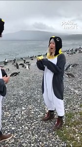 14K views · 150 reactions | This #happy #feat is one for the #books! | Poke My Heart | Facebook