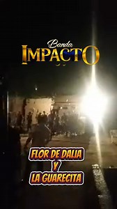 Flor de dalia y la guarecita | Banda Impacto