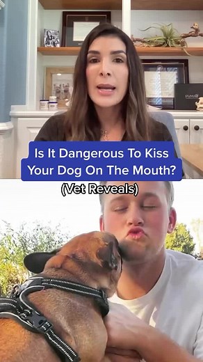 Is Kissing Your Dog Safe? Vet Insights on Dog Kisses