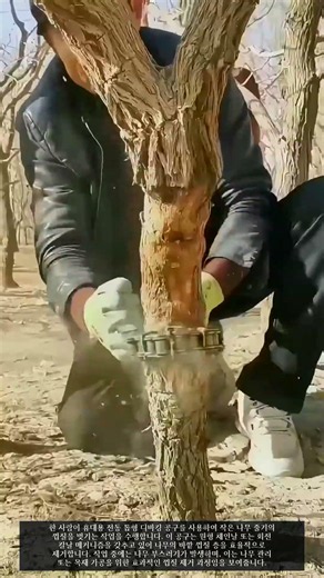 휴대용 전동 공구로 나무껍질 제거 #worker #workers