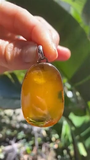 ✨ Just Arrived – New Amber Pendant Collection! ✨ Fresh from Poland and full of warmth — our latest Baltic amber pendants have just landed! 💛 Each piece is crafted from genuine amber, over 40 million years old, and beautifully set to highlight its natural glow, inclusions, and healing energy. From classic teardrops to bold statement designs, there's something for every amber lover. Perfect for gifting or treating yourself to something truly special. 🌿 Explore the full collection now: 👉 [Insert