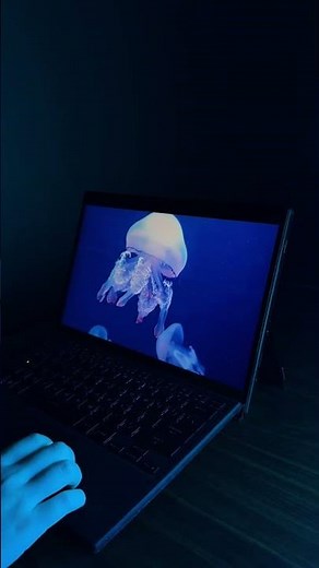 Amoury Crate 小教室開課囉