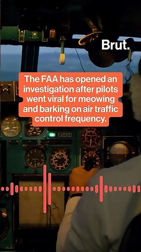 FAA investigates pilots for meowing on air traffic control frequency