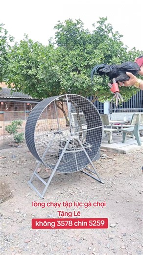 lồng chạy tập lực gà đá Tặng Lê