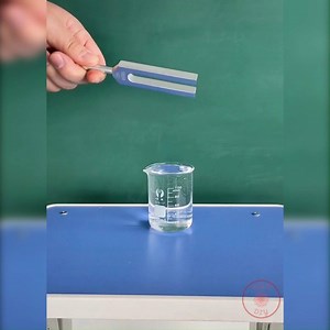 8.8K views · 123 reactions | The Interesting Things of Physics | Euphoria | Facebook