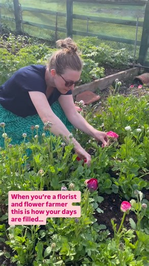 Wild Bee Flower Farm 🐝🌷 on Instagram: "This is what our days look like in the flower season 🌱 Growing, picking, designing, installing… and then repeating it all again. I’ll be honest — you’re seeing the good bits. Running a floristry studio and flower farm comes with an endless to-do list and plenty of overwhelm. But the creativity, seasonality and excitement of this work always outweigh it. If you’re new here, welcome. We’re a small, seasonal and sustainable floristry studio rooted in York,