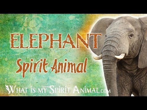 Elephant Spirit Animal | Elephant Totem & Power Animal | Elephant Symbolism & Meanings