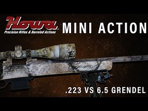 Howa Mini Action Rifle .223 Vs. 6.5 Grendel