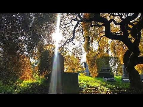 Louise Glück reads her poem "Crossroads"