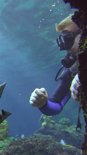 372K views · 30K reactions | MAKO MERMAIDS Season: 1 Episode: 23 Episode Title: Zac’s Choice Original Airdates: September 15,2013 (Netflix) 22 December 2013 (Eleven in Australia) | History of Mermaids | Facebook