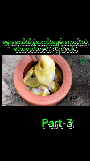 #myaing #food #foodvlog #myanmar #မဖလုတ်နဲ့ကွာ☹