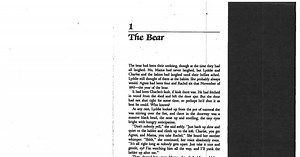 lyddie story copy (1).pdf