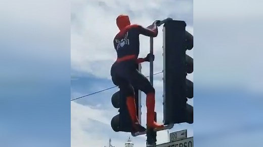 Spider-Man Twerking on a Stoplight | Know Your Meme