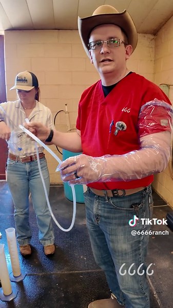 Reproduction 101 Part 2 • The key to success lies within the details. Tune into Part Two of this four-part series, where Dr. Nathan Canaday performs an embryo flush on a donor mare, explains what preparation and materials are needed during this process, discusses fertilization and the anatomy of the reproductive system, discusses embryo growth, and more! #BreedingSeason2024 #EmbryoTransfer #FlushProcess #DonorMare #Recipient #RecipMare #Surrogacy #6666Ranch #FourSixesRanch #EquineReproduction