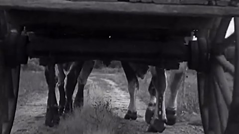 Discover How Chevrolet's Suspension System Transforms Your Ride Into a Smooth Journey