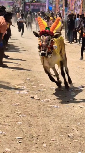 🤯SUBSCRIBE TO ALL 🥵 #like #bull #comment #trending #viral #video #shorts #support #eruthukattu