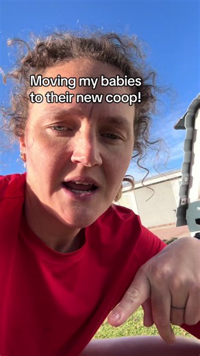 I did eventually get them all moved! I had to have my son come help me!