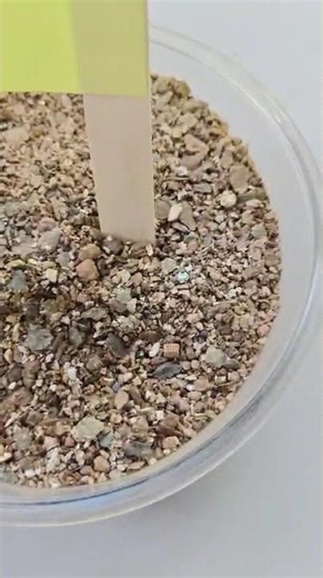 Keep your plants hydrated and growing strong with Coco & Coir Vermiculite!