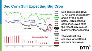 Corn, wheat prices continue downward slides Wednesday. WATCH more in the Closing Market Comment for June 7: | DTN/The Progressive Farmer | Facebook