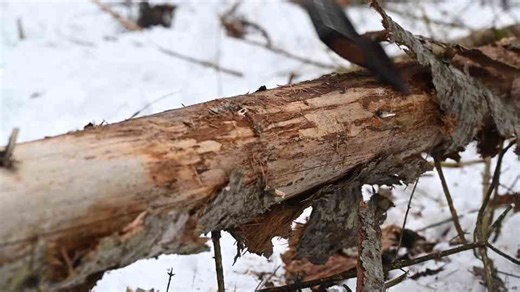 This shelter was built for long-term survival, not comfort