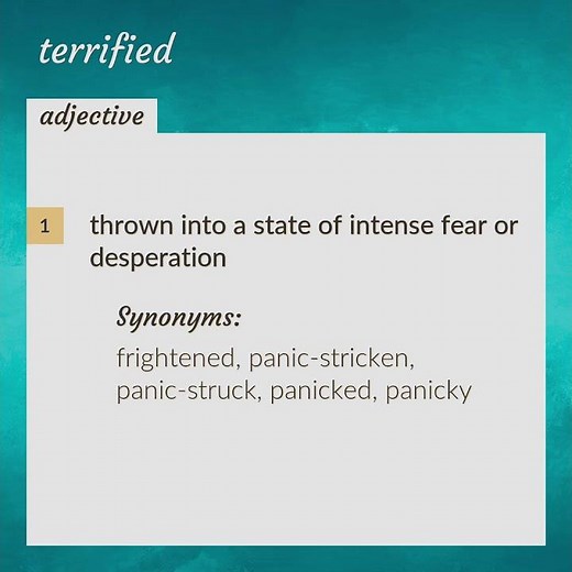 Terrified | meaning of Terrified