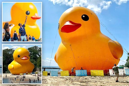 Big duck energy! World’s largest rubber ducky lands in New York this week