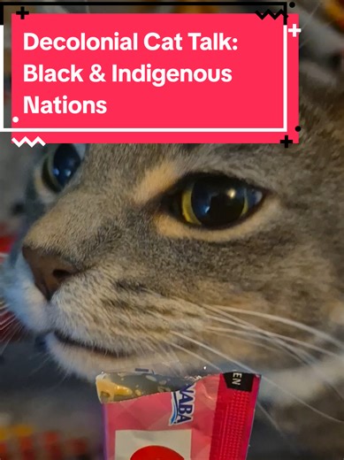The key to understanding Amerika is to see that it was a chain of European settler colonies that expanded into a settler empire. To go back and understand the lives and consciousness of the early English settlers is to see the embryo of today's Amerikan Empire. This is the larger picture that allows us to finally relate the class conflicts of settler Euro-Amerikans to the world struggle.SETTLERS THE MYTHOLOGY OF THE WHITE PROLETARIAT