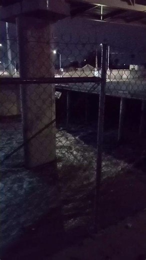 Heard About a Flash Flood Warning On the Radio and Decided to Take a Stroll Through the Neighborhood