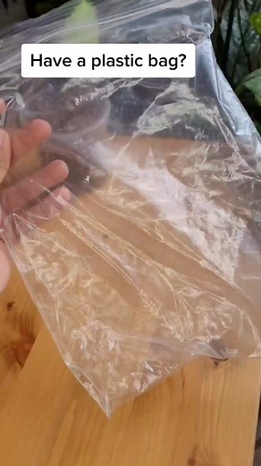 DIY Mini Greenhouse Using Plastic Bags | Increase Humidity and Protect Plants