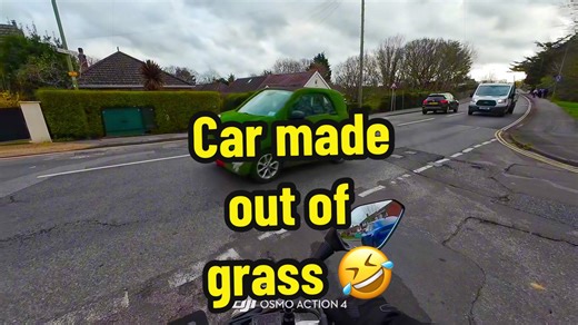 Grass-Covered Car: A Unique Take on Automotive Fun