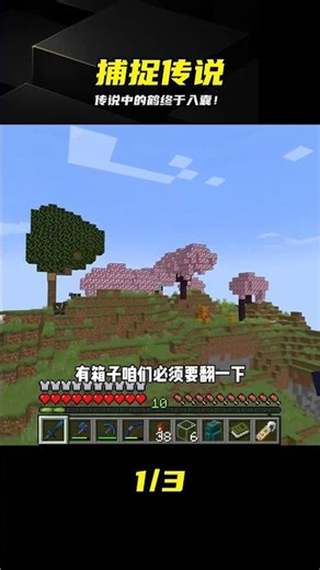 探索之旅2（104）：捕捉童話羲鶴，擴建生物展覽館 #童话羲鹤 #捕捉 #生物展馆 #传说 #探索