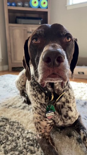 Wyatt's 5 Seconds of Fame | Kinsley Wyatt POV