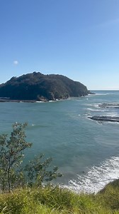 Another day for your surfboards at goat island today! 🏄‍♀️ visibility isn’t great but hopefully getting better throughout the week! 🐬 | Goat Island Dive & Snorkel