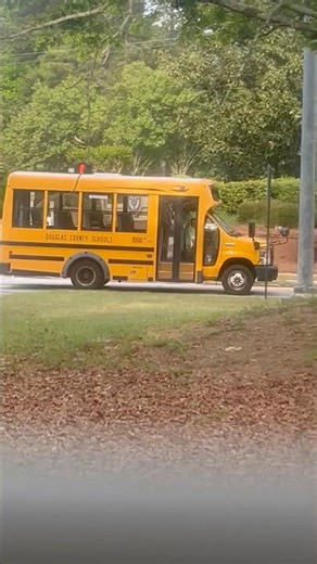 Bus 1000 2018 Bluebird micro bird