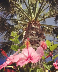 🌺Beautiful day🌺 | Jessica Springsteen