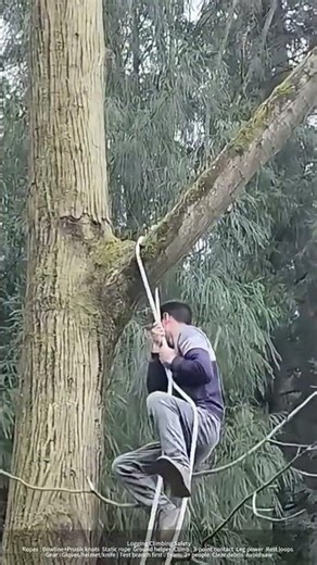 Safe Tree Climbing Hacks : Knots, Teamwork & Gear for Loggers