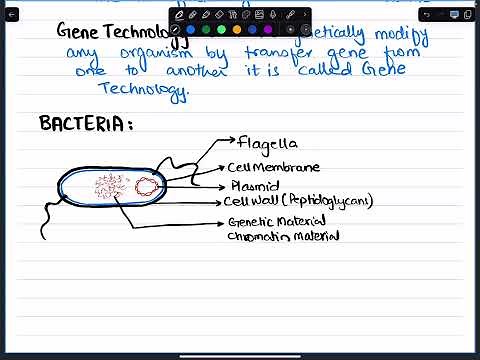 Biotechnology syllabus 2024 - O Levels Biology 5090 by Dr. Awais