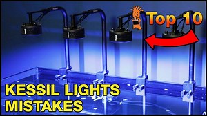 Just when you thought lighting your reef tank with Kessil LED lights...