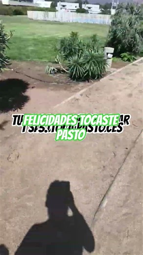 tutorial de como tocar pasto