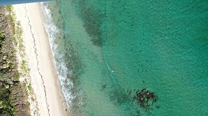 SHARK MIGRATION IN FLORIDA 🦈 The Blacktip shark migration is taking over Florida waters but with lower numbers this year. Florida Atlantic University said anyone in the water at this time will likely be within a 60-foot radius of one of these sharks. http://8.wfla.com/2CV9Vyg | WFLA News Channel 8