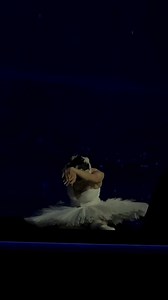 The Dying Swan 🦢 Ekaterina Pervushina @Natalia Beizerova | Ballet Mon Amour